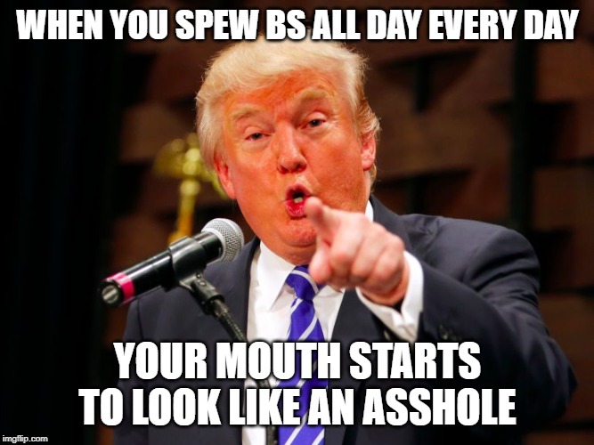 trump point | WHEN YOU SPEW BS ALL DAY EVERY DAY; YOUR MOUTH STARTS TO LOOK LIKE AN ASSHOLE | image tagged in trump point | made w/ Imgflip meme maker