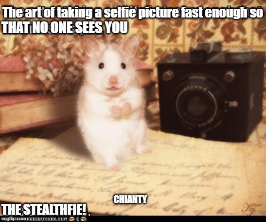 It's an Art | The art of taking a selfie picture fast enough so; THAT NO ONE SEES YOU; CHIANTY; THE STEALTHFIE! | image tagged in fast | made w/ Imgflip meme maker