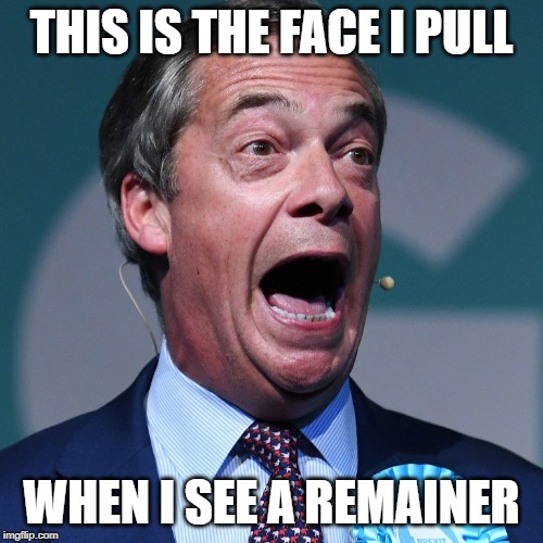 Bexit | THIS IS THE FACE I PULL; WHEN I SEE A REMAINER | image tagged in brexit,nigel farage,funny,remain | made w/ Imgflip meme maker