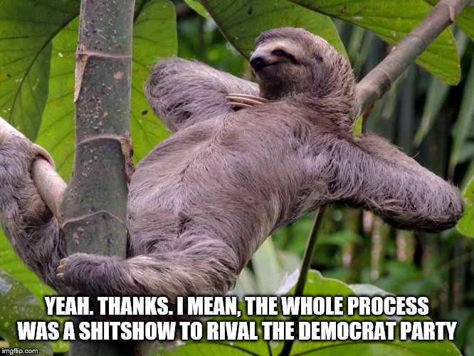 Lazy Sloth | YEAH. THANKS. I MEAN, THE WHOLE PROCESS WAS A SHITSHOW TO RIVAL THE DEMOCRAT PARTY | image tagged in lazy sloth | made w/ Imgflip meme maker