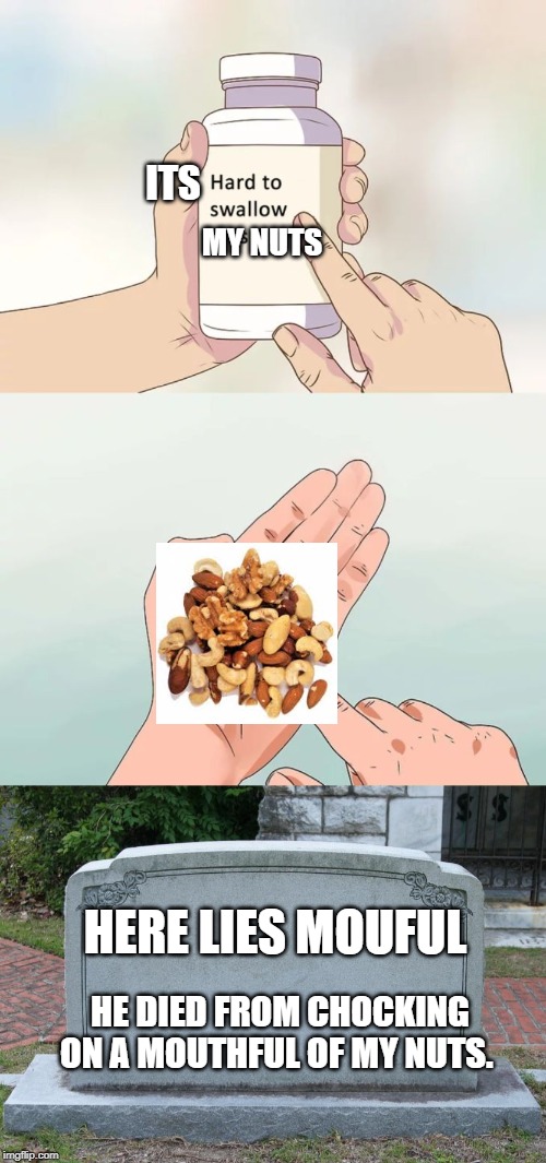 ITS; MY NUTS; HERE LIES MOUFUL; HE DIED FROM CHOCKING ON A MOUTHFUL OF MY NUTS. | image tagged in gravestone,memes,hard to swallow pills | made w/ Imgflip meme maker