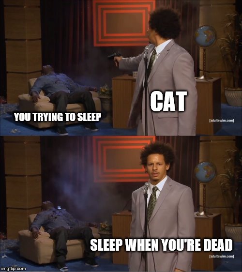 My cat was hungry all night this time. | CAT; YOU TRYING TO SLEEP; SLEEP WHEN YOU'RE DEAD | image tagged in memes,who killed hannibal,cats,cat | made w/ Imgflip meme maker