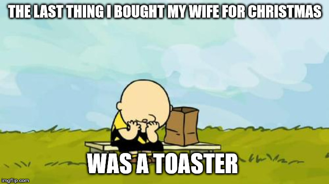 Depressed Charlie Brown | THE LAST THING I BOUGHT MY WIFE FOR CHRISTMAS; WAS A TOASTER | image tagged in depressed charlie brown | made w/ Imgflip meme maker