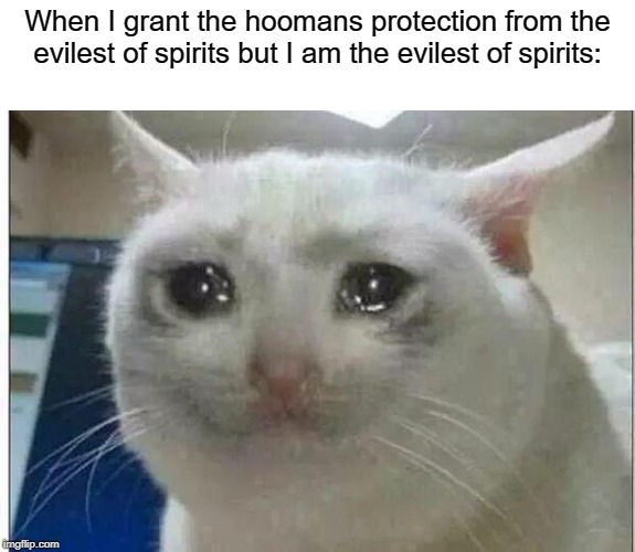 I am. | When I grant the hoomans protection from the evilest of spirits but I am the evilest of spirits: | image tagged in crying cat,evil,i have no idea what i am doing,i am the one who knocks,for i am the cat,spirit | made w/ Imgflip meme maker