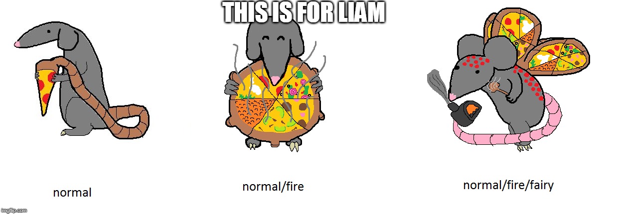 THIS IS FOR LIAM | made w/ Imgflip meme maker