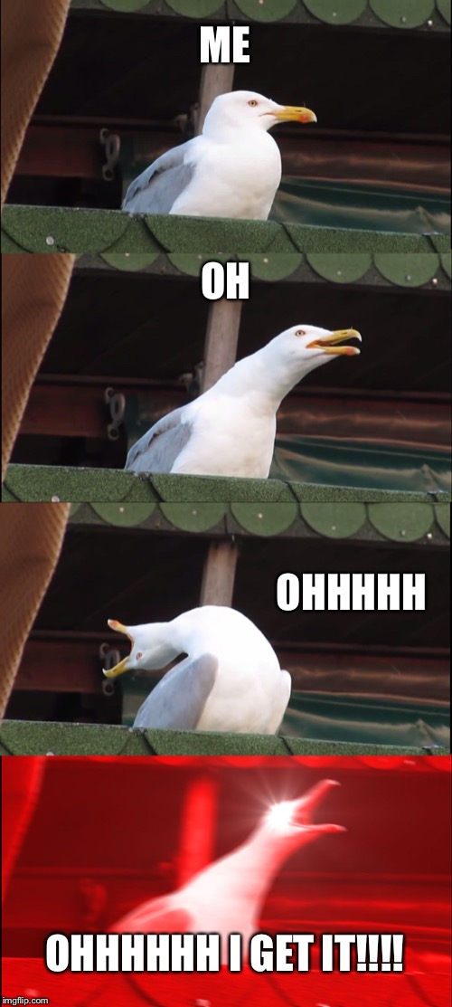 ME OH OHHHHH OHHHHHH I GET IT!!!! | image tagged in memes,inhaling seagull | made w/ Imgflip meme maker