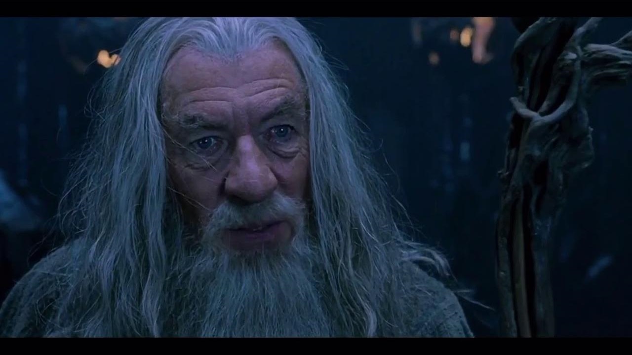 High Quality gandalf madness for reason Blank Meme Template