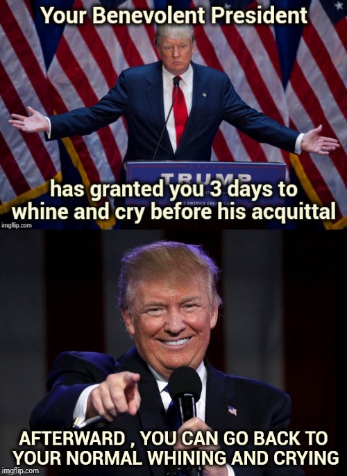 What a wonderful President | image tagged in nevertrump,morons,crying,fun stuff,impeachment,well yes but actually no | made w/ Imgflip meme maker