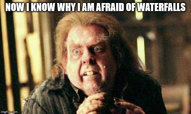 Peter Pettigrew In Fear | NOW I KNOW WHY I AM AFRAID OF WATERFALLS | image tagged in peter pettigrew in fear | made w/ Imgflip meme maker