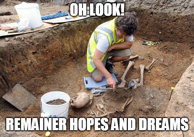 Remains, archeological dig | OH LOOK! REMAINER HOPES AND DREAMS | image tagged in remains archeological dig | made w/ Imgflip meme maker