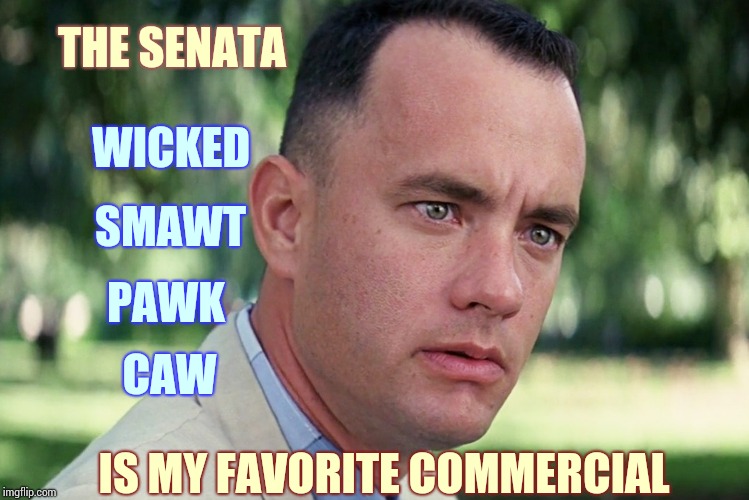 Bawston, New Yawk And New Joysey | THE SENATA; WICKED; SMAWT; PAWK; CAW; IS MY FAVORITE COMMERCIAL | image tagged in memes,and just like that,massachusetts,new england,new york,new jersey | made w/ Imgflip meme maker
