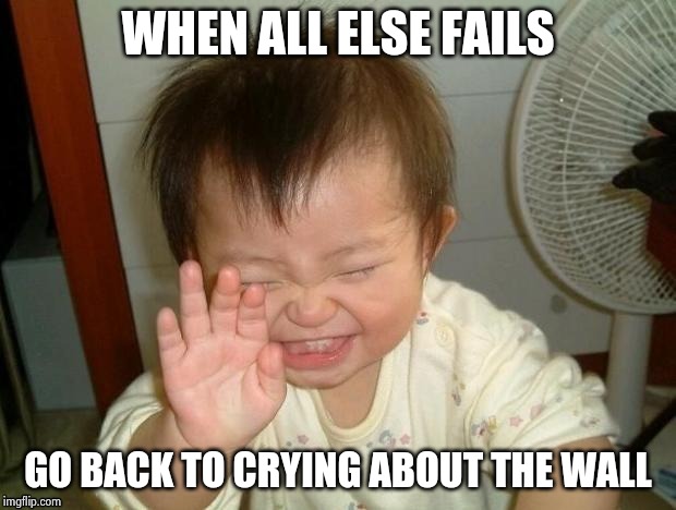 Happy Baby | WHEN ALL ELSE FAILS GO BACK TO CRYING ABOUT THE WALL | image tagged in happy baby | made w/ Imgflip meme maker