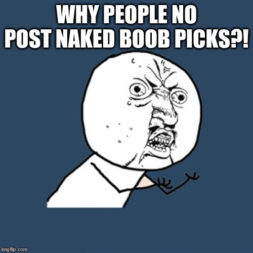 Y U No | WHY PEOPLE NO POST NAKED BOOB PICKS?! | image tagged in memes,y u no | made w/ Imgflip meme maker