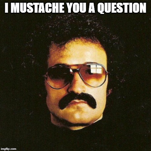 Giorgio Moroder cool mustache | I MUSTACHE YOU A QUESTION | image tagged in giorgio moroder cool mustache | made w/ Imgflip meme maker