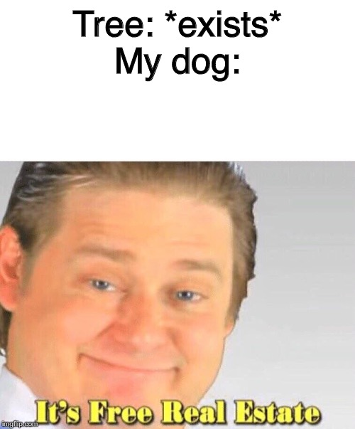It's free real estate | Tree: *exists*
My dog: | image tagged in it's free real estate | made w/ Imgflip meme maker