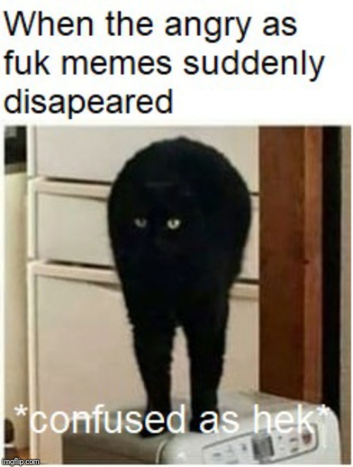 *confused as hek* | image tagged in confused as hek | made w/ Imgflip meme maker