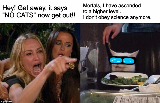 Woman Yelling At Cat Meme | Hey! Get away, it says "NO CATS" now get out!! Mortals, I have ascended to a higher level. I don't obey science anymore. | image tagged in memes,woman yelling at cat | made w/ Imgflip meme maker