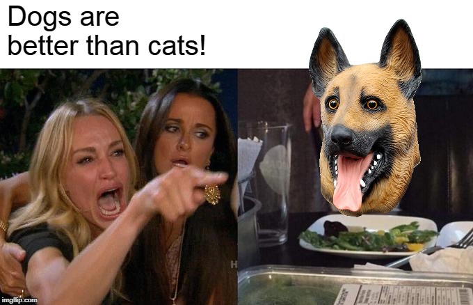 Woman Yelling At Cat | Dogs are better than cats! | image tagged in memes,woman yelling at cat,dogs,cats,dogs an cats,pets | made w/ Imgflip meme maker