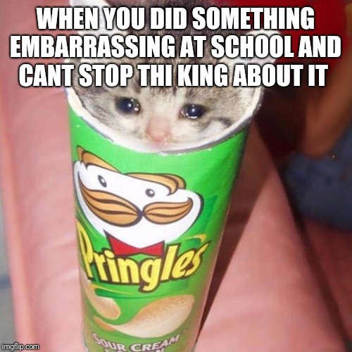 Cursed cat | WHEN YOU DID SOMETHING EMBARRASSING AT SCHOOL AND CANT STOP THI KING ABOUT IT | image tagged in cursed cat | made w/ Imgflip meme maker