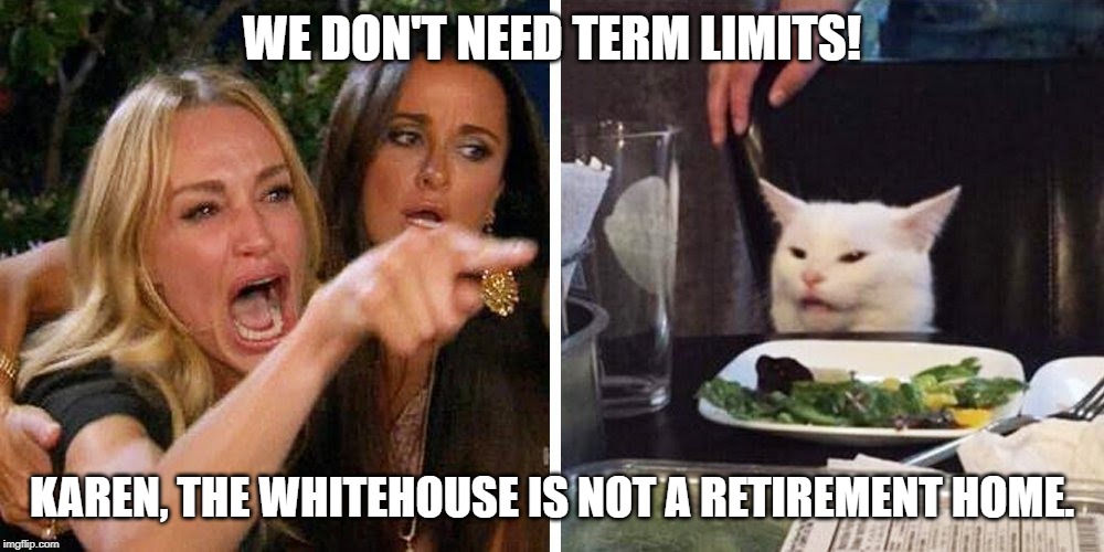 Smudge the cat | WE DON'T NEED TERM LIMITS! KAREN, THE WHITEHOUSE IS NOT A RETIREMENT HOME. | image tagged in smudge the cat | made w/ Imgflip meme maker