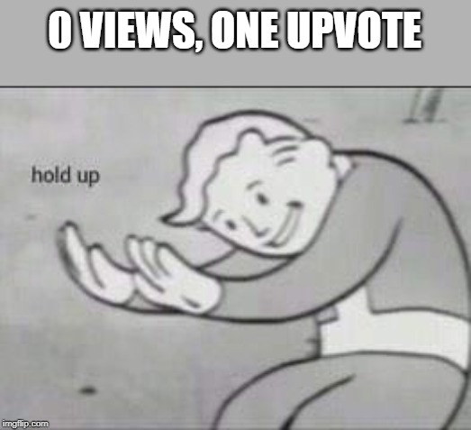 Fallout Hold Up | 0 VIEWS, ONE UPVOTE | image tagged in fallout hold up | made w/ Imgflip meme maker