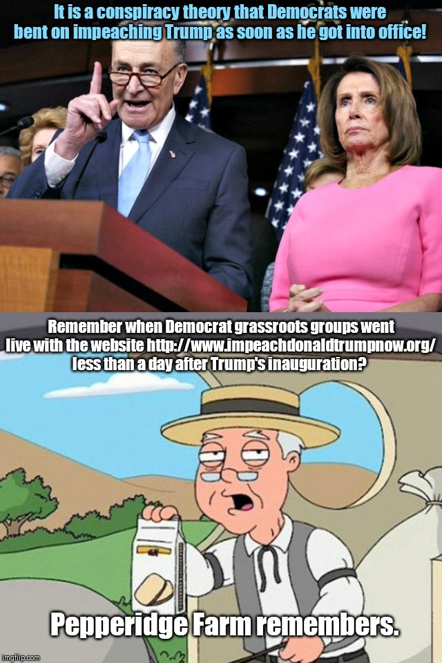 Democrats continue to deny intentions | It is a conspiracy theory that Democrats were bent on impeaching Trump as soon as he got into office! Remember when Democrat grassroots groups went live with the website http://www.impeachdonaldtrumpnow.org/ less than a day after Trump's inauguration? Pepperidge Farm remembers. | image tagged in pelosi schumer,trump impeachment,foregone conclusion,partisan politics,democratic party | made w/ Imgflip meme maker