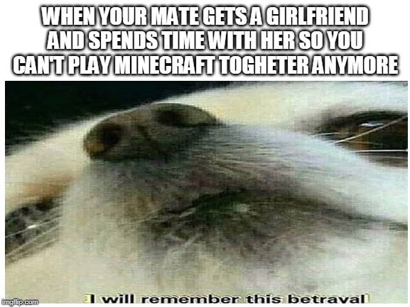 blank memes | WHEN YOUR MATE GETS A GIRLFRIEND AND SPENDS TIME WITH HER SO YOU CAN'T PLAY MINECRAFT TOGHETER ANYMORE | image tagged in blank white template | made w/ Imgflip meme maker