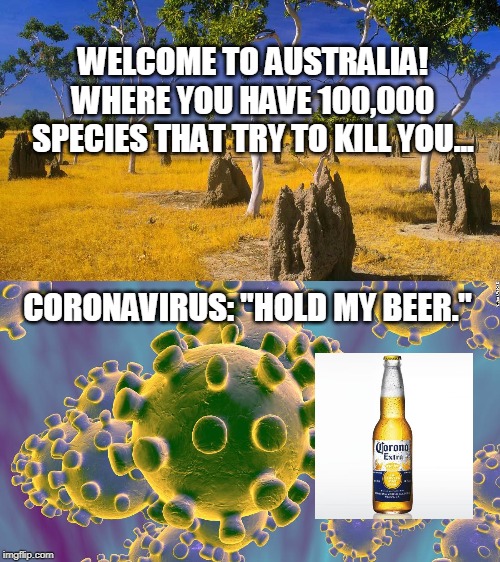 Travelling to Australia | WELCOME TO AUSTRALIA!
WHERE YOU HAVE 100,000 SPECIES THAT TRY TO KILL YOU... CORONAVIRUS: "HOLD MY BEER." | image tagged in coronavirus,corona,australia,meanwhile in australia,first world problems,2020 | made w/ Imgflip meme maker