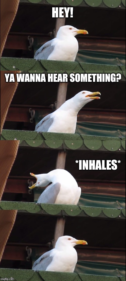 Inhaling Seagull | HEY! YA WANNA HEAR SOMETHING? *INHALES* | image tagged in memes,inhaling seagull | made w/ Imgflip meme maker