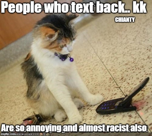 Text | People who text back.. kk; CHIANTY; Are so annoying and almost racist also | image tagged in annoying | made w/ Imgflip meme maker