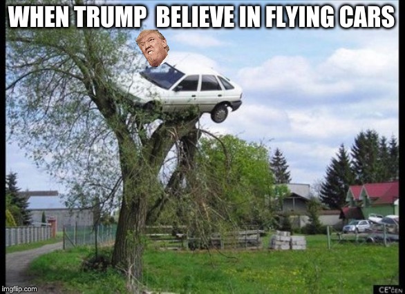 Secure Parking Meme | WHEN TRUMP  BELIEVE IN FLYING CARS | image tagged in memes,secure parking | made w/ Imgflip meme maker