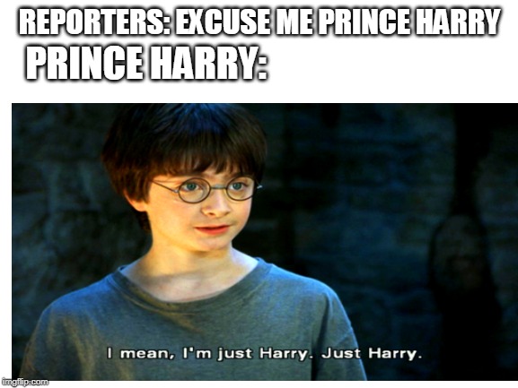 dankdewdude | REPORTERS: EXCUSE ME PRINCE HARRY; PRINCE HARRY: | image tagged in blank white template | made w/ Imgflip meme maker