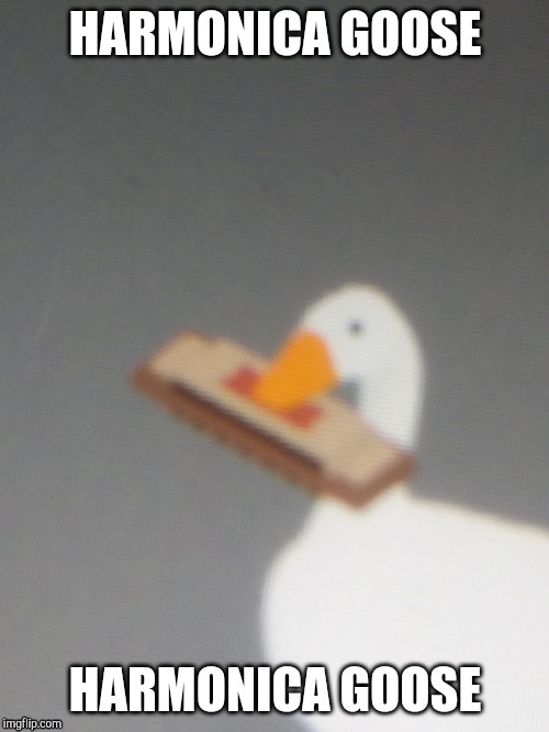 harmonica goose | HARMONICA GOOSE; HARMONICA GOOSE | image tagged in harmonica goose | made w/ Imgflip meme maker