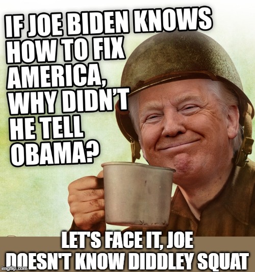 tell em Joe | LET'S FACE IT, JOE DOESN'T KNOW DIDDLEY SQUAT | image tagged in biden,trump | made w/ Imgflip meme maker