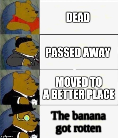 Tuxedo Winnie the Pooh 4 panel | DEAD; PASSED AWAY; MOVED TO A BETTER PLACE; The banana got rotten | image tagged in tuxedo winnie the pooh 4 panel | made w/ Imgflip meme maker