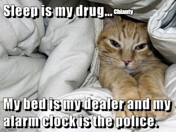 Sleep | Chianty | image tagged in alarm | made w/ Imgflip meme maker