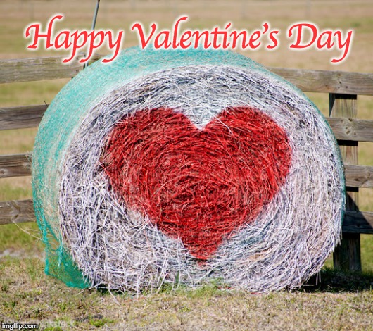 Happy Valentine's Day | image tagged in valentine's day,farm,farmers | made w/ Imgflip meme maker