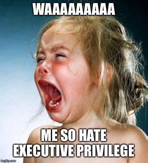 crying girl | WAAAAAAAAA ME SO HATE EXECUTIVE PRIVILEGE | image tagged in crying girl | made w/ Imgflip meme maker