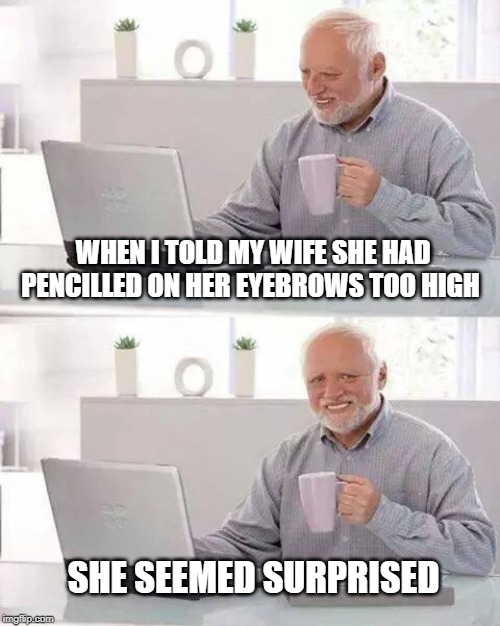 Hide the Pain Harold Meme | WHEN I TOLD MY WIFE SHE HAD PENCILLED ON HER EYEBROWS TOO HIGH; SHE SEEMED SURPRISED | image tagged in memes,hide the pain harold | made w/ Imgflip meme maker