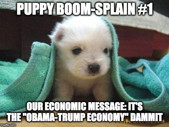 Cute puppy | PUPPY BOOM-SPLAIN #1; OUR ECONOMIC MESSAGE: IT'S THE "OBAMA-TRUMP ECONOMY" DAMMIT | image tagged in cute puppy | made w/ Imgflip meme maker