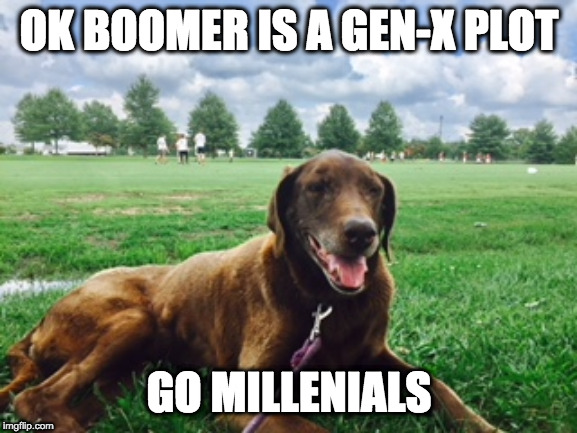 Dog Boomsplainer | OK BOOMER IS A GEN-X PLOT; GO MILLENIALS | image tagged in millennials,ok boomer | made w/ Imgflip meme maker