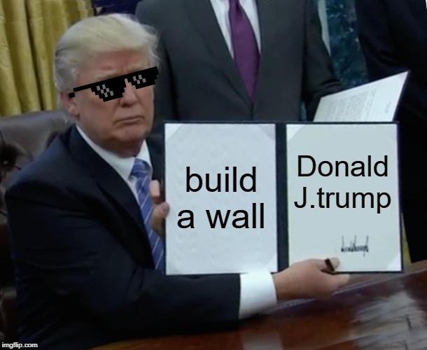 Trump Bill Signing | build a wall; Donald J.trump | image tagged in memes,trump bill signing | made w/ Imgflip meme maker