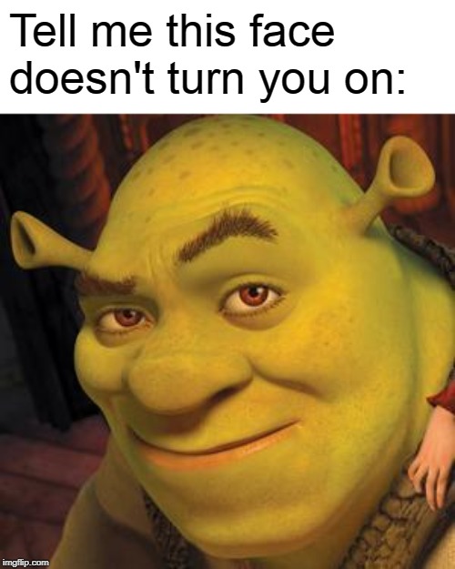 Shrek Sexy Face | Tell me this face doesn't turn you on: | image tagged in shrek sexy face | made w/ Imgflip meme maker
