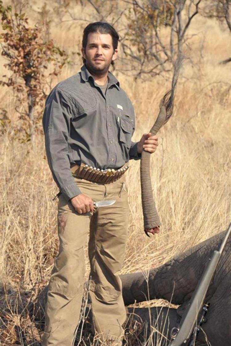 Donnie Trump clutches Dead Elephant Tail Blank Meme Template