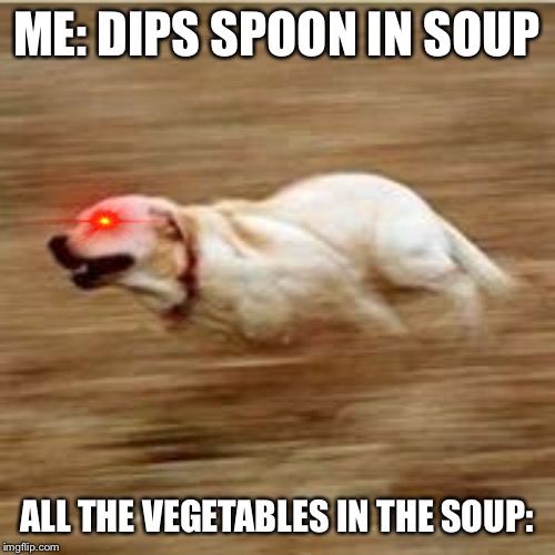 Speedy doggo | ME: DIPS SPOON IN SOUP; ALL THE VEGETABLES IN THE SOUP: | image tagged in speedy doggo | made w/ Imgflip meme maker