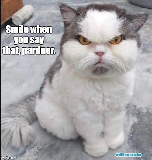Did I hear you right? | Smile when you say that, pardner. @WHurensohn | image tagged in cat,say what again | made w/ Imgflip meme maker