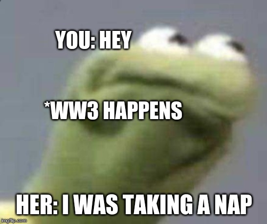 pissed kermit | YOU: HEY
                                                                                        
          *WW3 HAPPENS; HER: I WAS TAKING A NAP | image tagged in pissed kermit | made w/ Imgflip meme maker