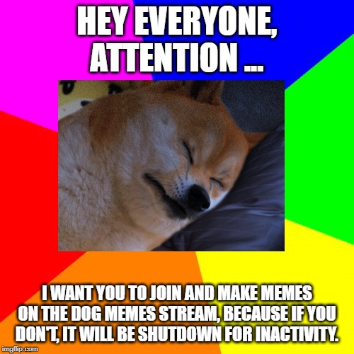 Colored Background 1 | HEY EVERYONE, ATTENTION ... I WANT YOU TO JOIN AND MAKE MEMES ON THE DOG MEMES STREAM, BECAUSE IF YOU DON'T, IT WILL BE SHUTDOWN FOR INACTIVITY. | image tagged in colored background 1 | made w/ Imgflip meme maker