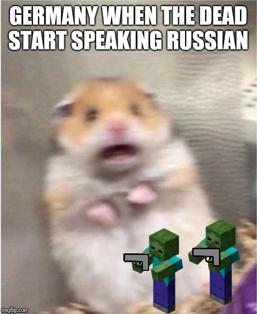 Scared Hamster | GERMANY WHEN THE DEAD START SPEAKING RUSSIAN | image tagged in scared hamster | made w/ Imgflip meme maker