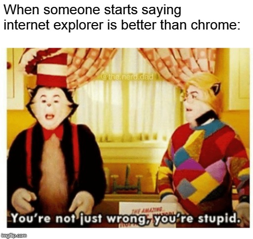 You're not just wrong your stupid | When someone starts saying internet explorer is better than chrome: | image tagged in you're not just wrong your stupid | made w/ Imgflip meme maker